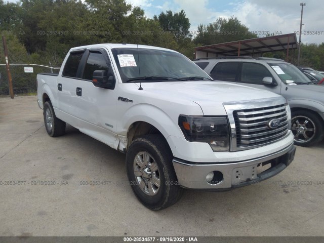 VIN: 1FTFW1CT3BFB82894 - ford f-150