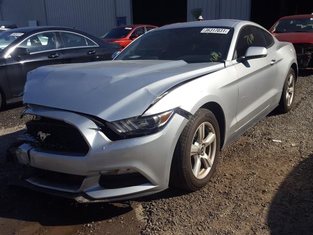 Photo 1 VIN: 1FA6P8AM3H5335425 - FORD MUSTANG 