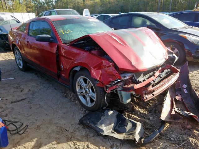 VIN: 1ZVBP8AN4A5144844 - ford mustang