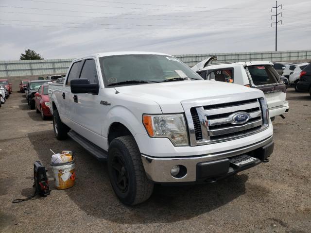 VIN: 1FTFW1EFXBFD12564 - ford f150 super