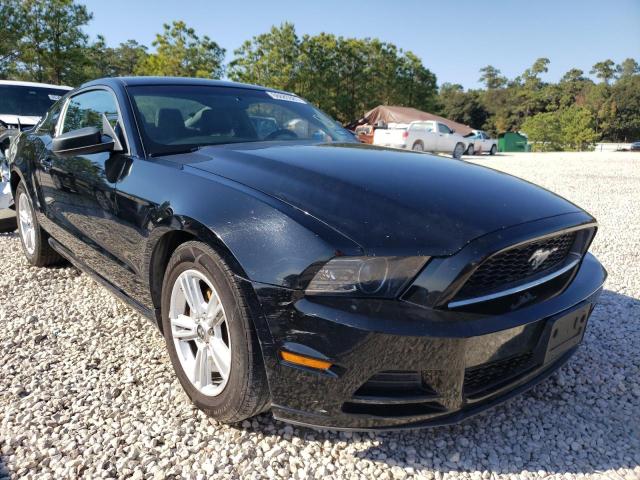 VIN: 1ZVBP8AM9D5254817 - ford mustang