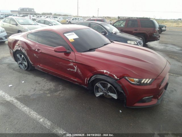 VIN: 1FA6P8AM1G5267401 - ford mustang