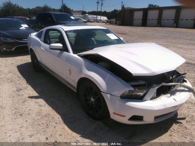 VIN: 1ZVBP8AN9A5129126 - ford mustang