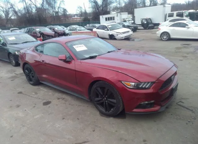 VIN: 1FA6P8TH0H5264250 - ford mustang