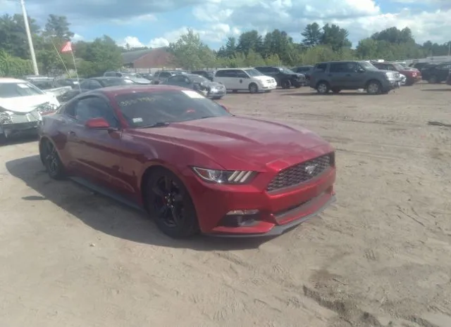 VIN: 1FA6P8AM9G5313847 - ford mustang