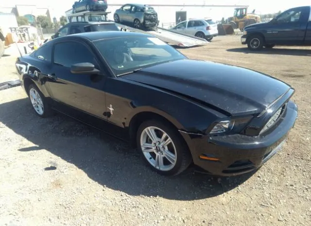 VIN: 1ZVBP8AM5D5282517 - ford mustang