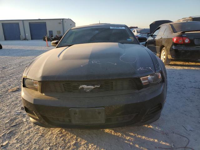 Photo 4 VIN: 1ZVBP8AMXC5281510 - FORD MUSTANG 