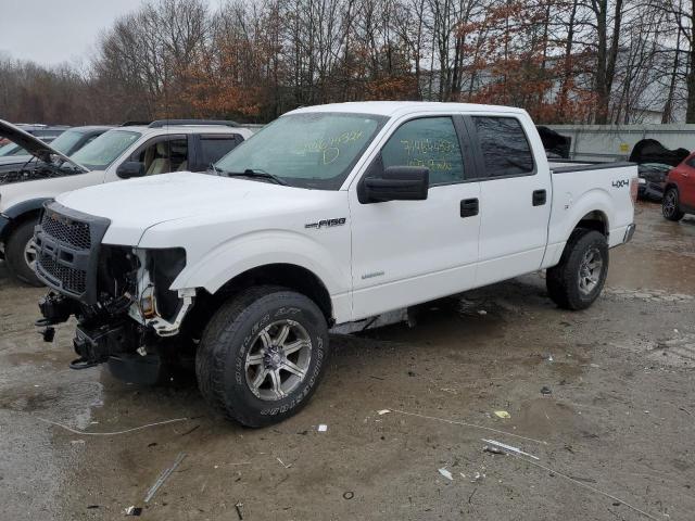 VIN: 1FTFW1ET2DFD04743 - ford f150 super