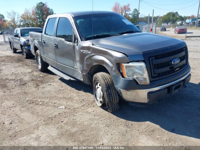 VIN: 1FTFW1EF6DFC14182 - ford f-150