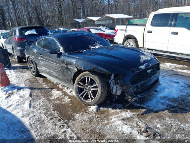 VIN: 1FA6P8TH7H5282003 - ford mustang