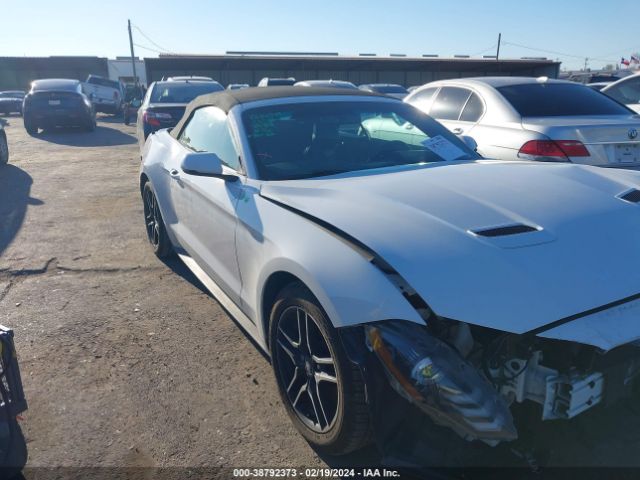 VIN: 1FATP8UH8L5113568 - ford mustang