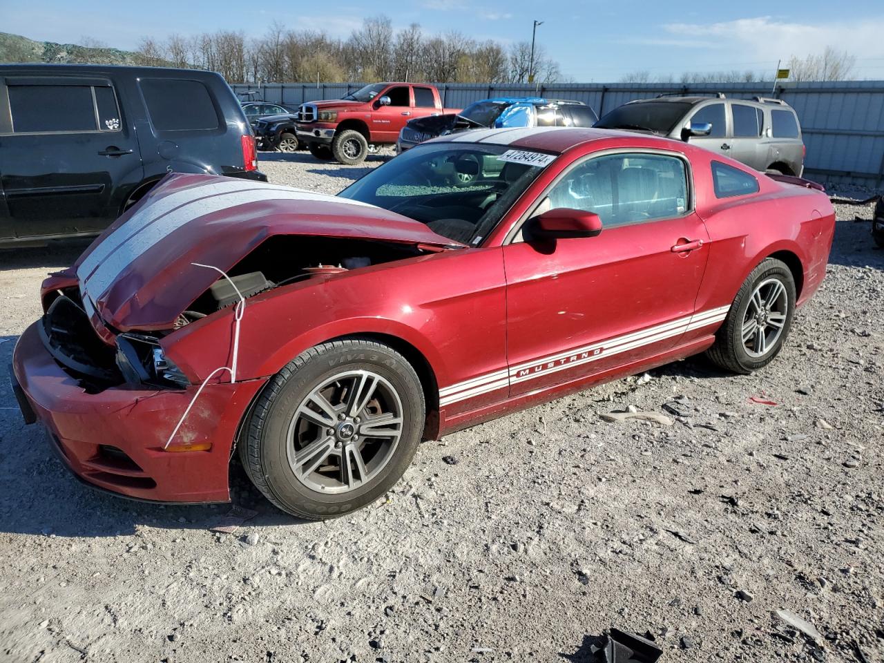 VIN: 1ZVBP8AM2D5204082 - ford mustang