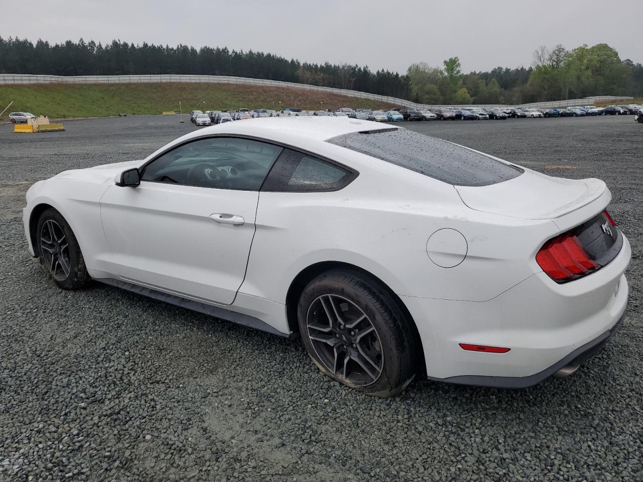 Photo 1 VIN: 1FA6P8TH0J5184663 - FORD MUSTANG 