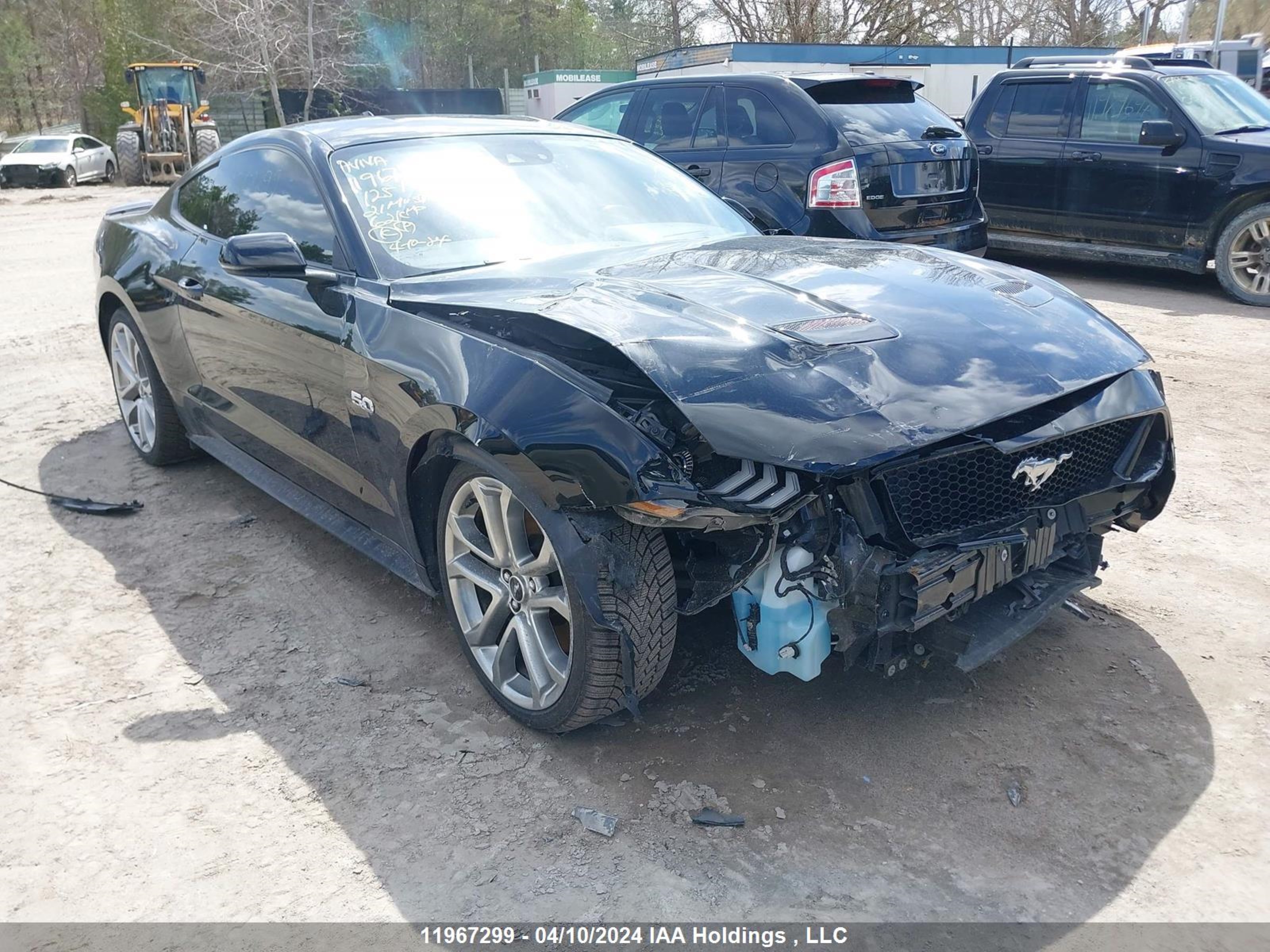 VIN: 1FA6P8CF5M5125157 - ford mustang