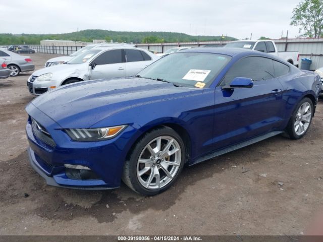 Photo 1 VIN: 1FA6P8TH6F5375995 - FORD MUSTANG 