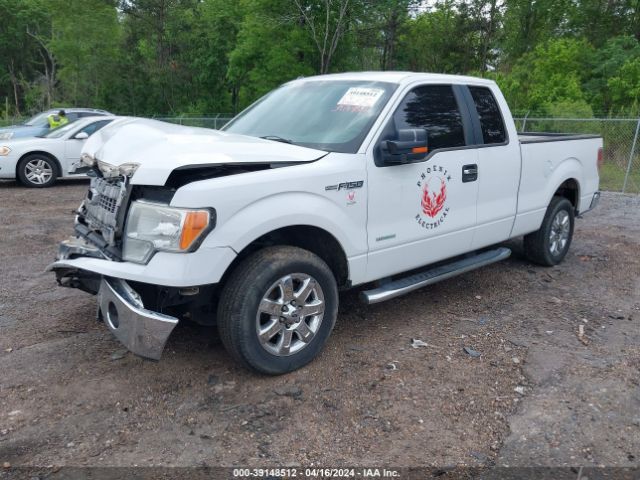 Photo 1 VIN: 1FTFX1CT6DKD03411 - FORD F-150 