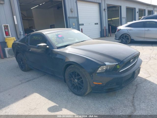 Photo 0 VIN: 1ZVBP8AM6E5207200 - FORD MUSTANG 