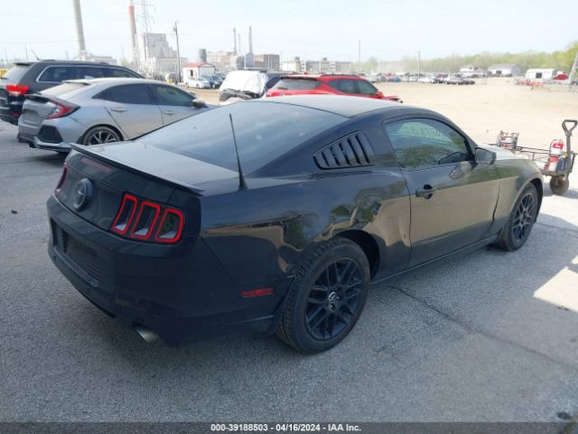 Photo 3 VIN: 1ZVBP8AM6E5207200 - FORD MUSTANG 