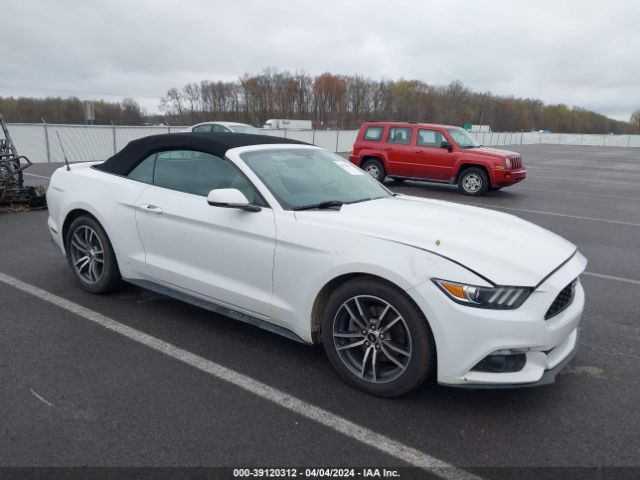 VIN: 1FATP8UH2H5252764 - ford mustang