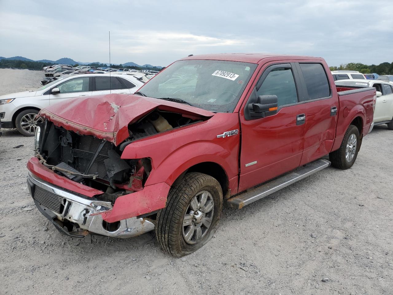 VIN: 1FTFW1CT7CFA34412 - ford f-150